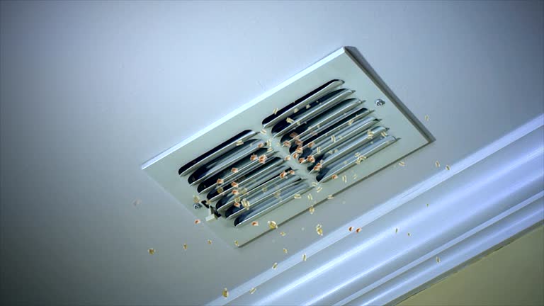 Air Duct Mold Removal in IL