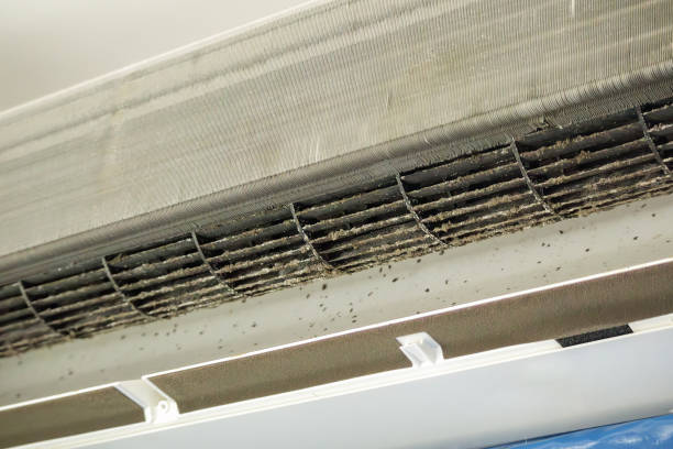 Best Emergency Air Duct Cleaning  in Oak Lawn, IL